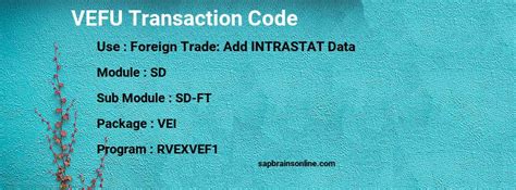 vefu|SAP ABAP Transaction Code VEFU (Foreign Trade: Add。